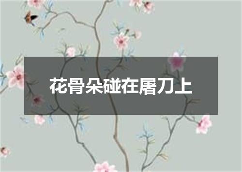 花骨朵碰在屠刀上