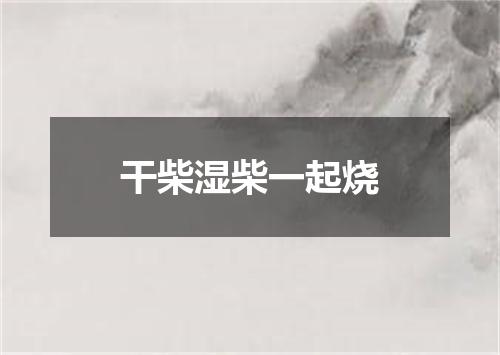 干柴湿柴一起烧