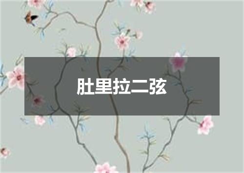 肚里拉二弦