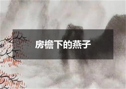 房檐下的燕子