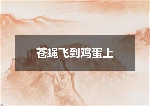 苍蝇飞到鸡蛋上
