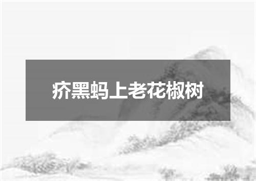 疥黑蚂上老花椒树