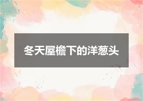 冬天屋檐下的洋葱头