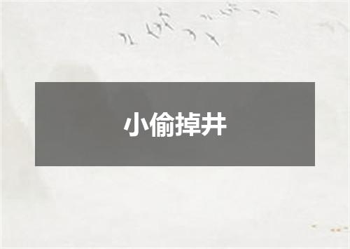 小偷掉井