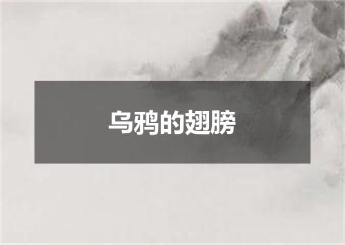 乌鸦的翅膀