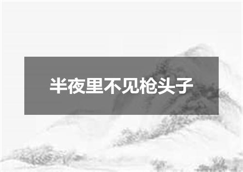 半夜里不见枪头子
