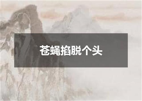 苍蝇掐脱个头