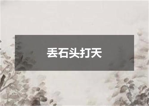 丢石头打天