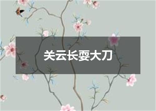 关云长耍大刀