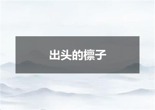 出头的檩子