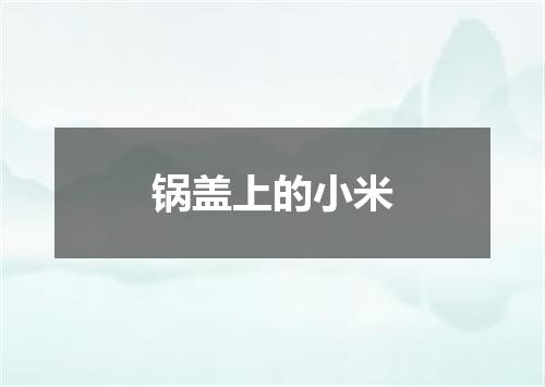 锅盖上的小米