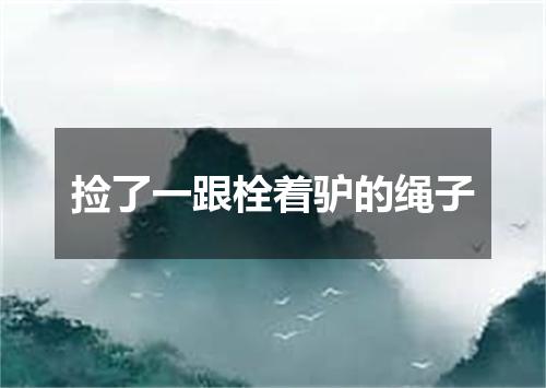 捡了一跟栓着驴的绳子