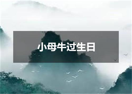 小母牛过生日