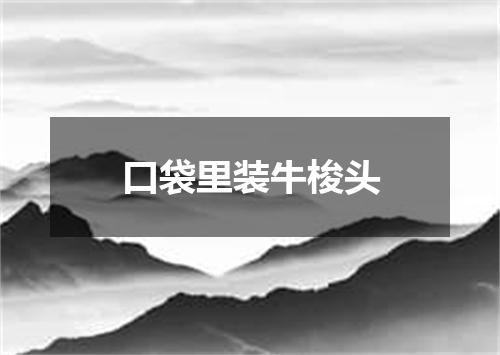 口袋里装牛梭头