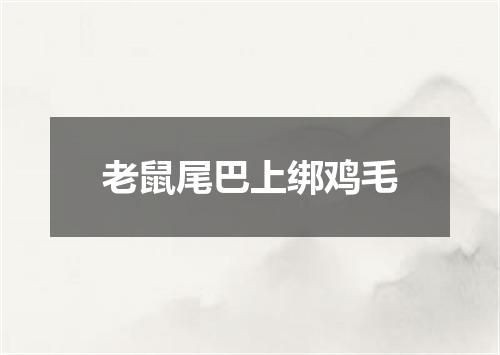 老鼠尾巴上绑鸡毛