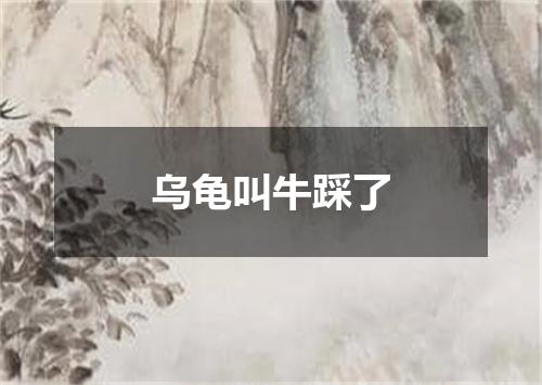乌龟叫牛踩了