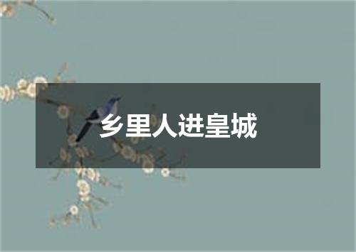 乡里人进皇城