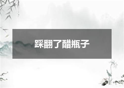 踩翻了醋瓶子