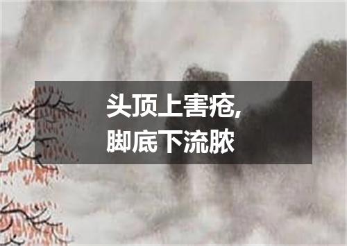 头顶上害疮,脚底下流脓