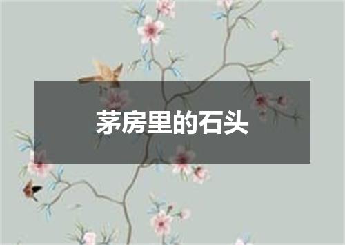 茅房里的石头