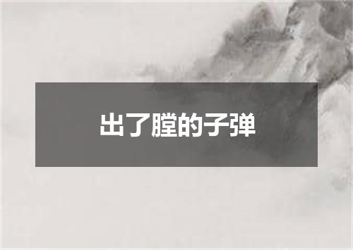 出了膛的子弹