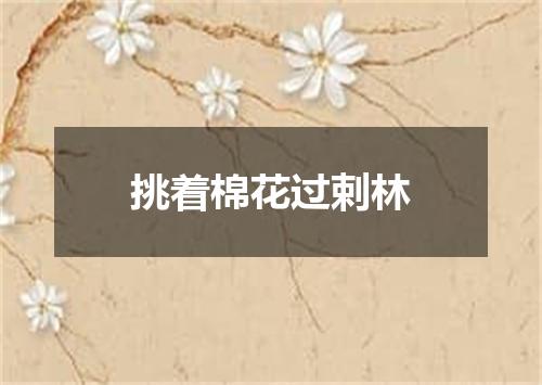 挑着棉花过剌林