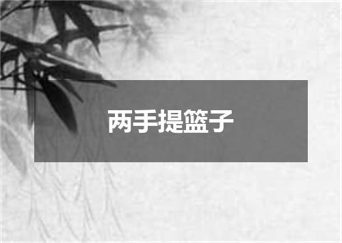 两手提篮子