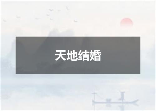 天地结婚