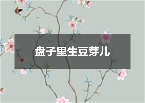 盘子里生豆芽儿
