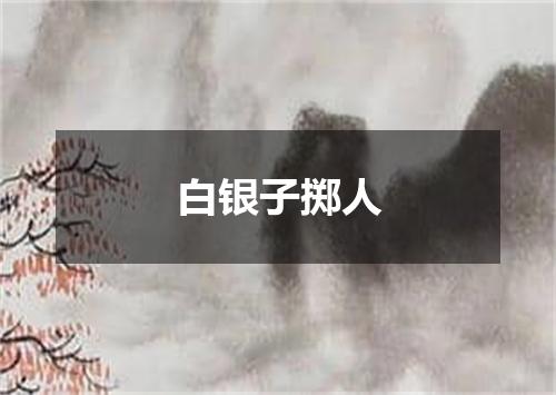 白银子掷人