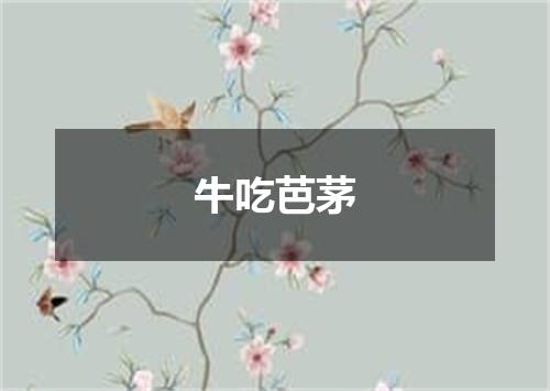 牛吃芭茅