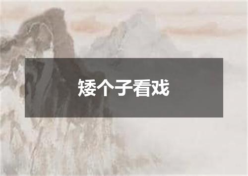 矮个子看戏