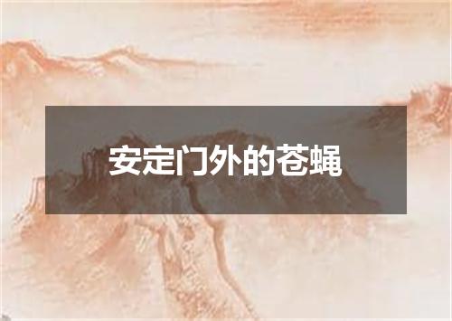 安定门外的苍蝇