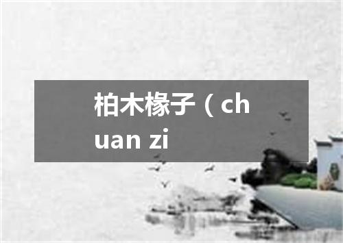 柏木椽子（chuan zi