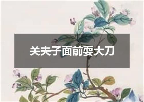 关夫子面前耍大刀