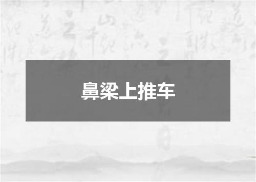 鼻梁上推车