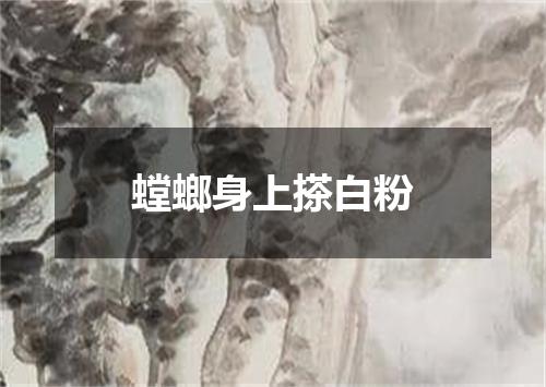螳螂身上搽白粉