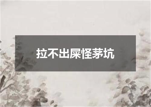 拉不出屎怪茅坑