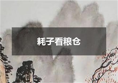 耗子看粮仓