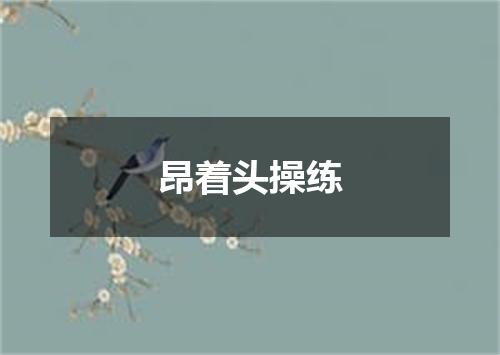 昂着头操练