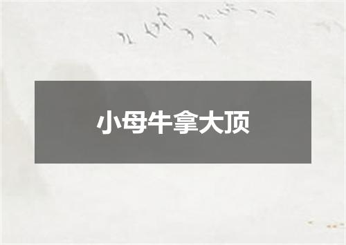 小母牛拿大顶