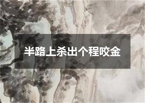 半路上杀出个程咬金