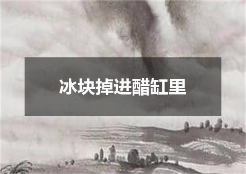 冰块掉进醋缸里