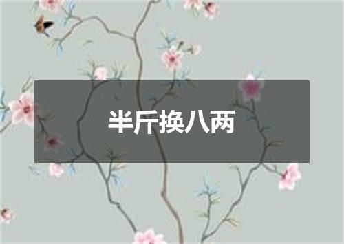 半斤换八两