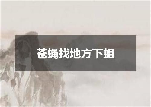 苍蝇找地方下蛆