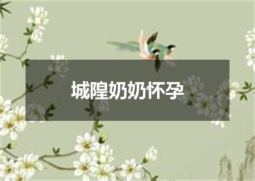城隍奶奶怀孕