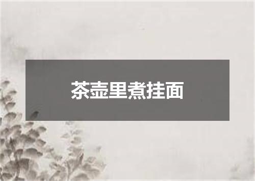 茶壶里煮挂面