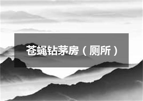 苍蝇钻茅房（厕所）