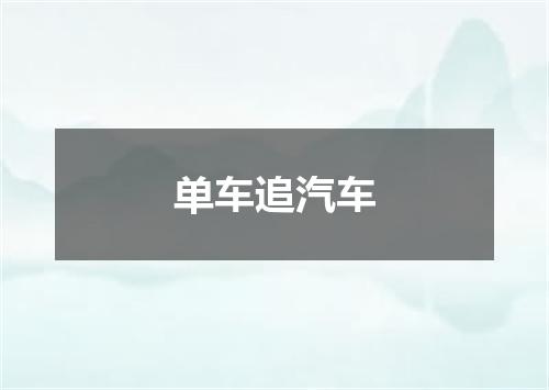 单车追汽车