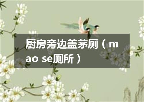 厨房旁边盖茅厕（mao se厕所）